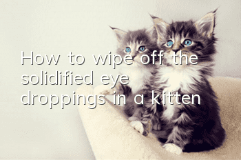 How to wipe off the solidified eye droppings in a kitten