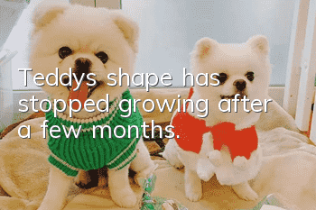 Teddy's shape has stopped growing after a few months.