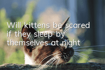 Will kittens be scared if they sleep by themselves at night?