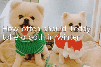 How often should Teddy take a bath in winter?