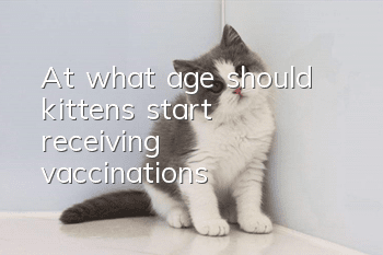 At what age should kittens start receiving vaccinations?