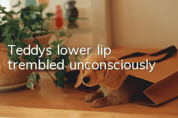 Teddy's lower lip trembled unconsciously