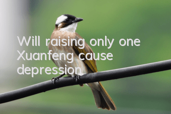Will raising only one Xuanfeng cause depression?
