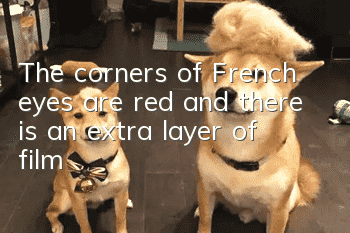 The corners of French eyes are red and there is an extra layer of film