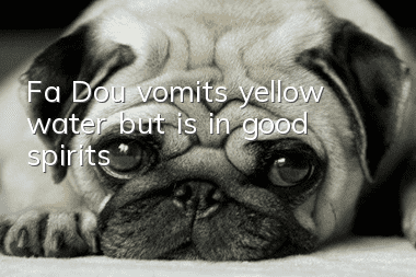 Fa Dou vomits yellow water but is in good spirits
