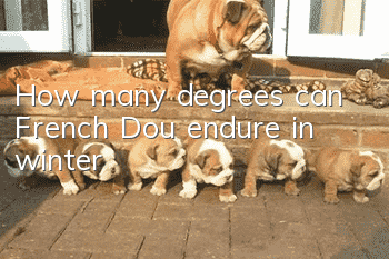 How many degrees can French Dou endure in winter?