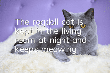 The ragdoll cat is kept in the living room at night and keeps meowing
