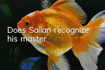 Does Sailan recognize his master?