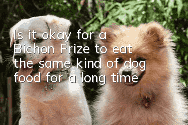 Is it okay for a Bichon Frize to eat the same kind of dog food for a long time?