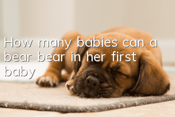 How many babies can a bear bear in her first baby?