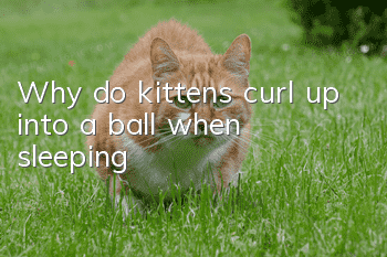 Why do kittens curl up into a ball when sleeping?