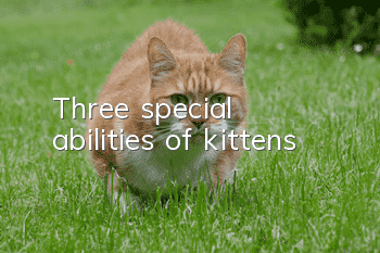 Three special abilities of kittens
