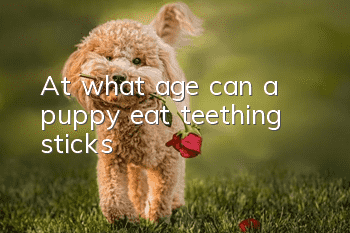 At what age can a puppy eat teething sticks?