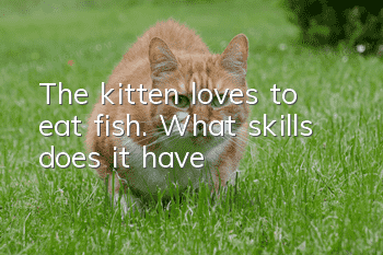 The kitten loves to eat fish. What skills does it have?
