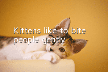Kittens like to bite people gently