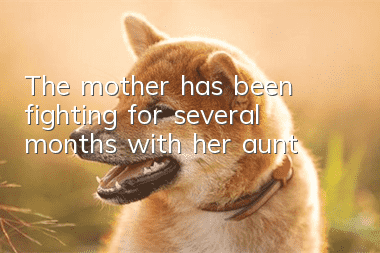 The mother has been fighting for several months with her aunt