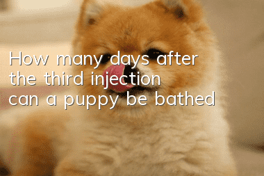 How many days after the third injection can a puppy be bathed?