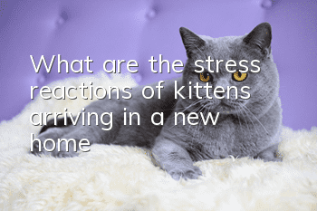 What are the stress reactions of kittens arriving in a new home?