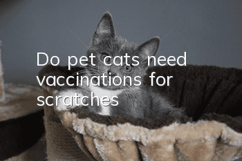 Do pet cats need vaccinations for scratches?