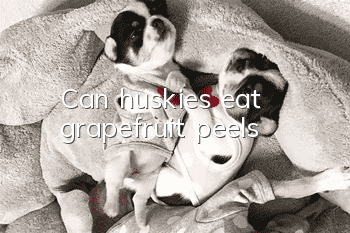 Can huskies eat grapefruit peels?