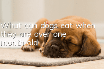 What can dogs eat when they are over one month old?