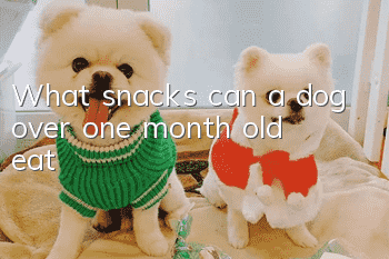What snacks can a dog over one month old eat?