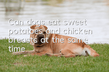 Can dogs eat sweet potatoes and chicken breasts at the same time?