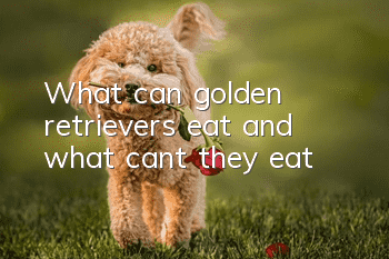 What can golden retrievers eat and what can’t they eat?