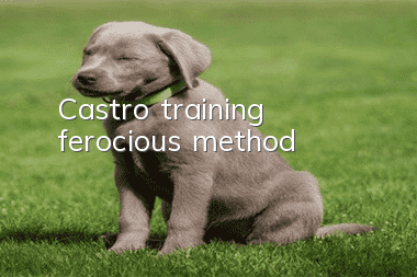 Castro training ferocious method