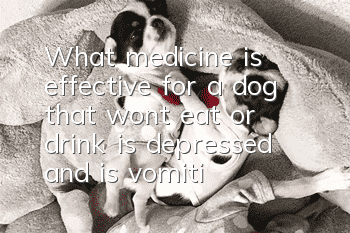 What medicine is effective for a dog that won’t eat or drink, is depressed, and is vomiting?