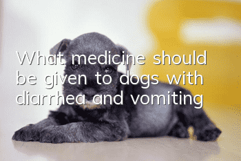 What medicine should be given to dogs with diarrhea and vomiting?