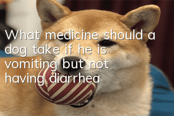 What medicine should a dog take if he is vomiting but not having diarrhea?