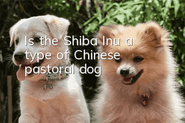 Is the Shiba Inu a type of Chinese pastoral dog?