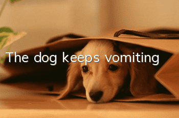 The dog keeps vomiting