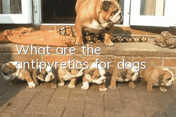What are the antipyretics for dogs?