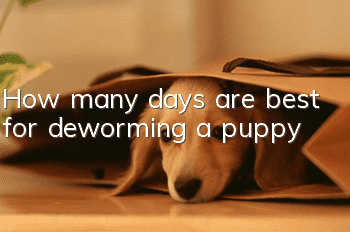 How many days are best for deworming a puppy?