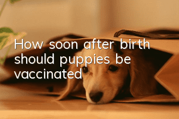How soon after birth should puppies be vaccinated?