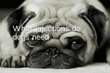 What injections do dogs need?