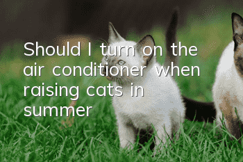 Should I turn on the air conditioner when raising cats in summer?