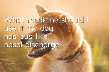 What medicine should I use if my dog has pus-like nasal discharge?