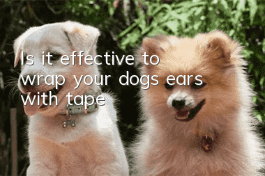 Is it effective to wrap your dog’s ears with tape?