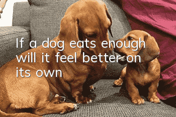 If a dog eats enough, will it feel better on its own?
