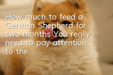 How much to feed a German Shepherd for two months? You really need to pay attention to the feeding of a German Shepherd, don’t overfeed!