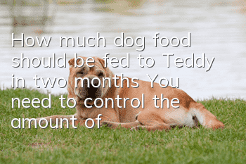 How much dog food should be fed to Teddy in two months? You need to control the amount of food!