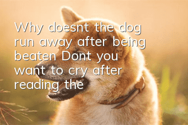 Why doesn’t the dog run away after being beaten? Don’t you want to cry after reading the answer?