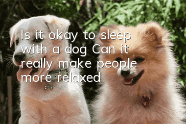 Is it okay to sleep with a dog? Can it really make people more relaxed?