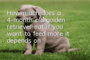 How much does a 4-month-old golden retriever eat? If you want to feed more, it depends on whether its appetite allows!