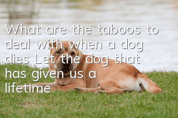 What are the taboos to deal with when a dog dies? Let the dog that has given us a lifetime pass away with dignity.