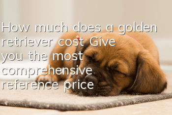 How much does a golden retriever cost? Give you the most comprehensive reference price