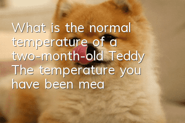 What is the normal temperature of a two-month-old Teddy? The temperature you have been measuring is actually wrong!